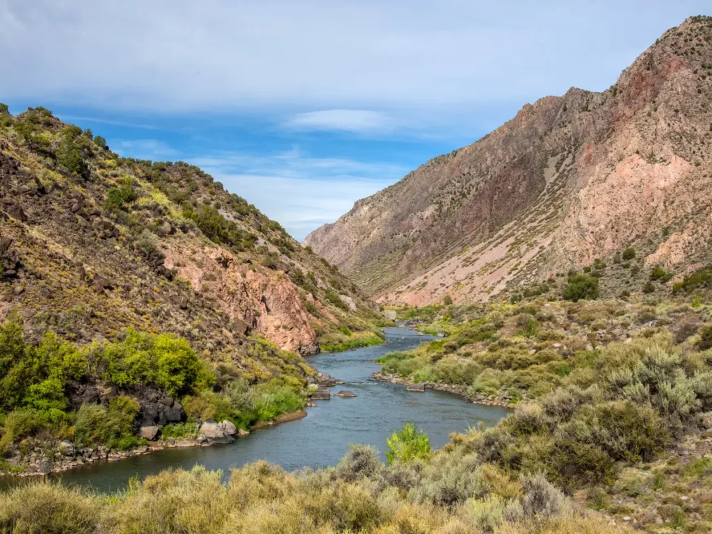 New Mexico taxpayer facing IRS tax debt relief options with Mesa Tax Law