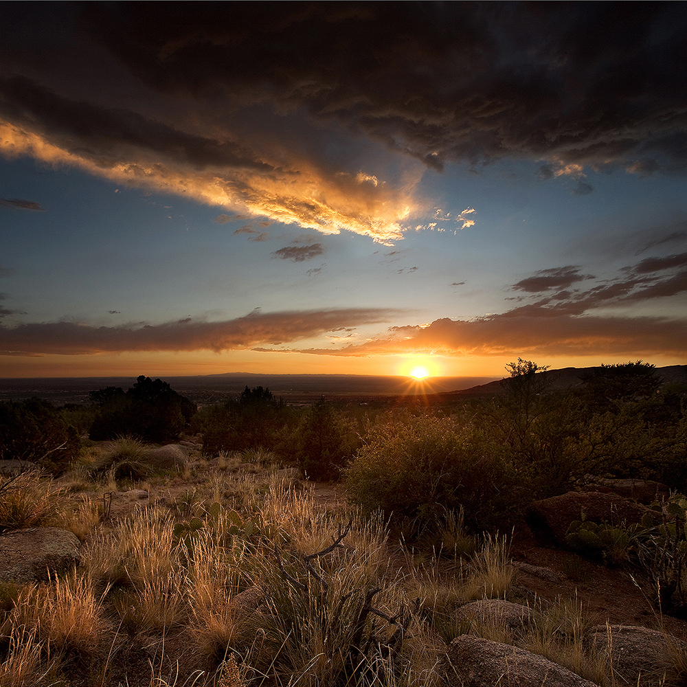 Mesa Tax Law tax debt resolution specialists helping Albuquerque and New Mexico clients