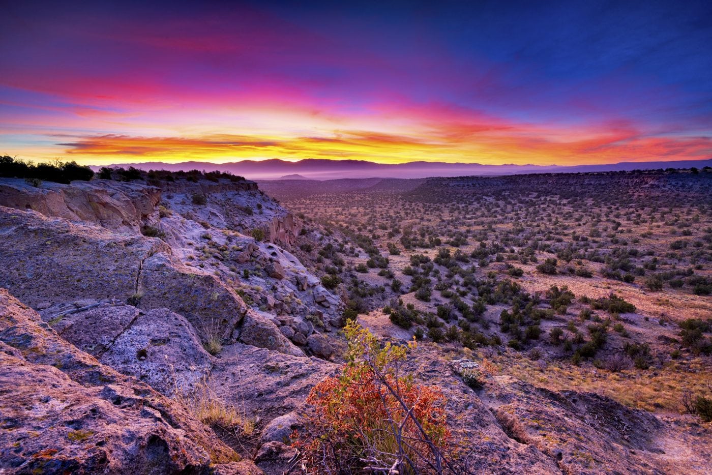 Mesa Tax Law Albuquerque NM licensed tax attorneys and enrolled agents resolving IRS debt for New Mexico residents